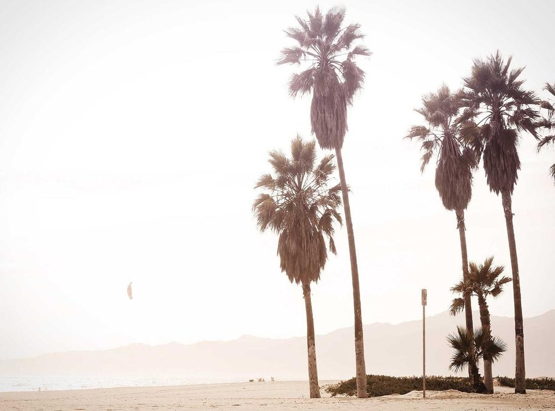 A Look Inside: Top Games You Can Play Today