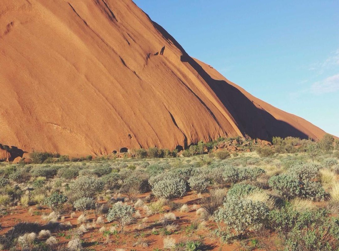 How to Use the Meme Perfectly (With Examples)