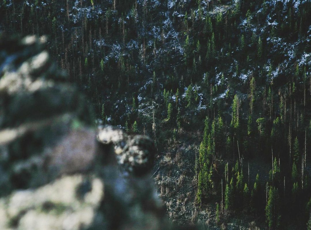 Using Ogomovies: A Step-by-Step Guide